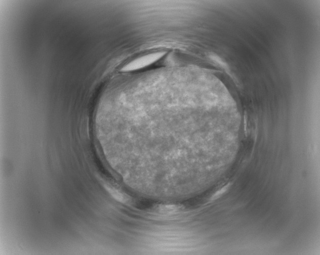 X0000065250205200603172213