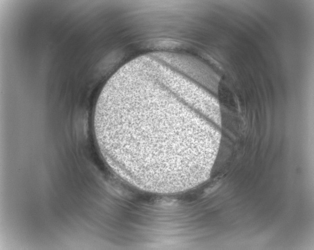 X0000065250206200603172213