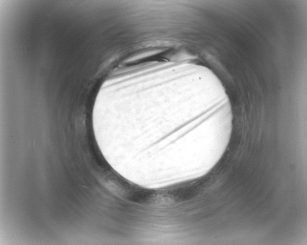 X0000065250207200603172213