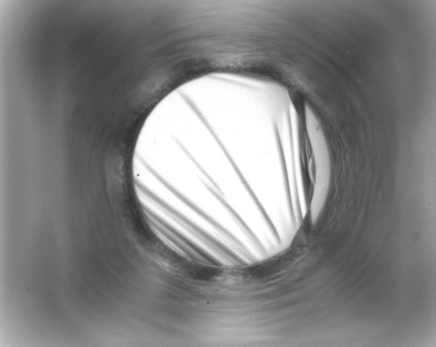 X0000065250211200603172213