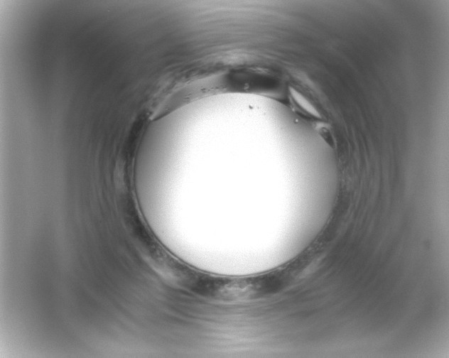 X0000065250213200603172213