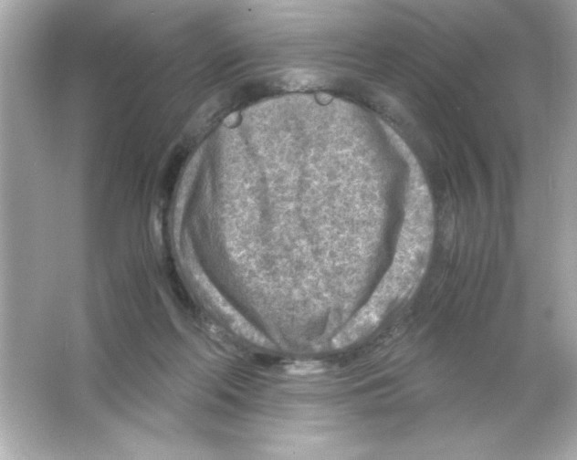 X0000065250214200603172213