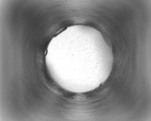 X0000065250215200603172213