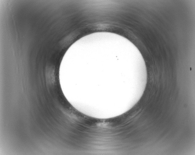 X0000065250216200603172213