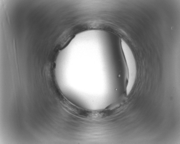 X0000065250217200603172213