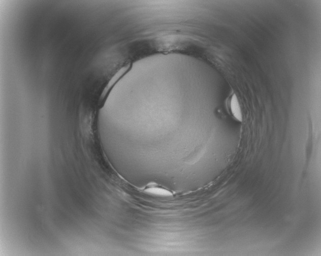 X0000065250219200603172213