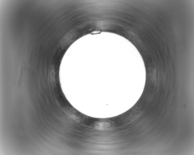 X0000065250220200603172213