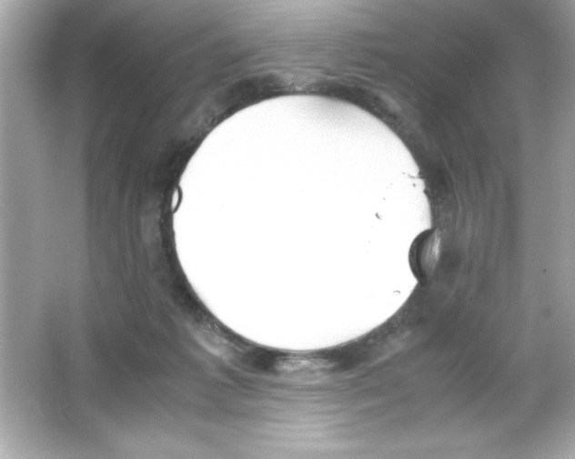 X0000065250221200603172213