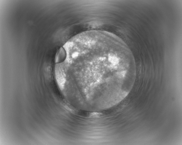 X0000065250222200603172212