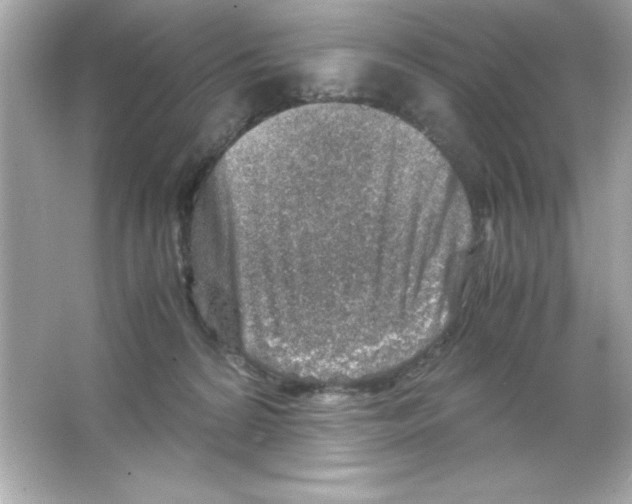 X0000065250224200603172212