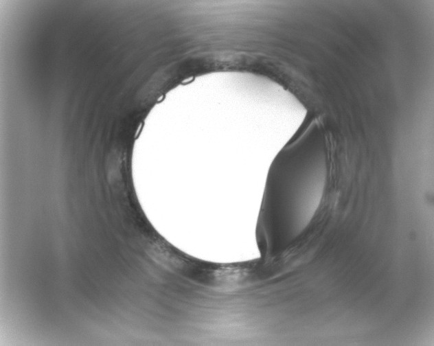 X0000065250225200603172212