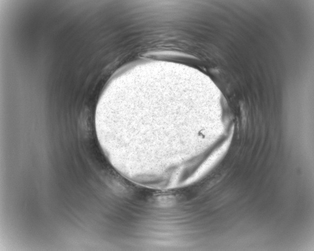 X0000065250228200603172212