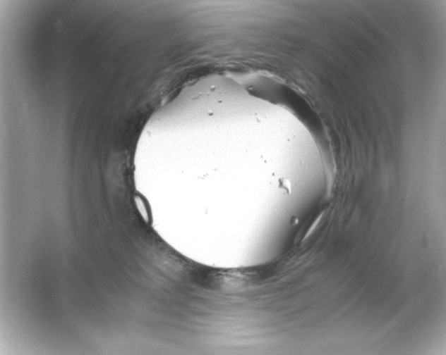 X0000065250229200603172212