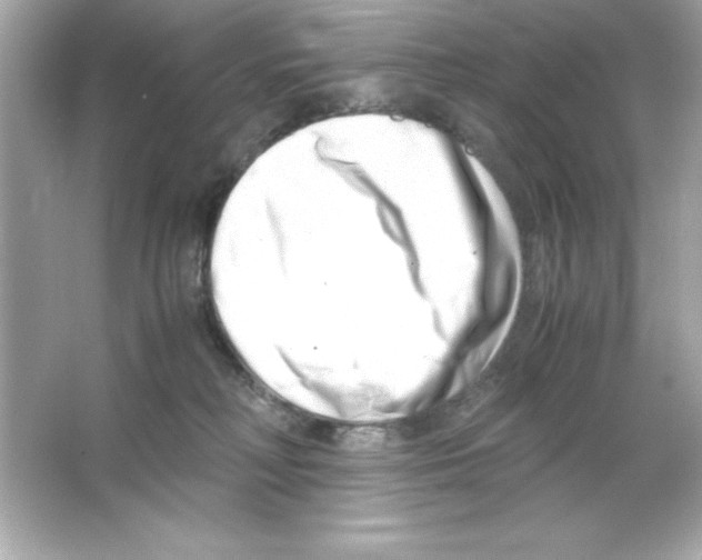 X0000065250230200603172212