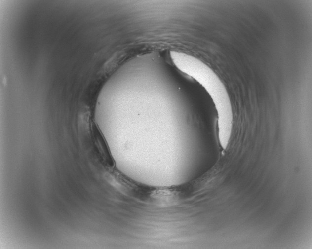 X0000065250231200603172212