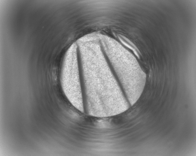 X0000065250232200603172212