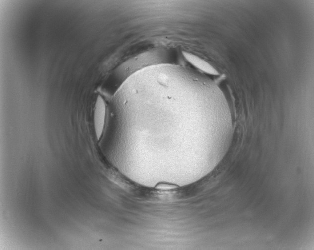 X0000065250233200603172212