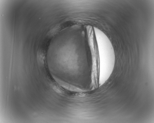 X0000065250235200603172212