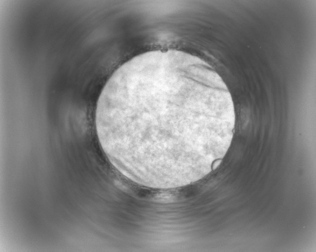 X0000065250236200603172212