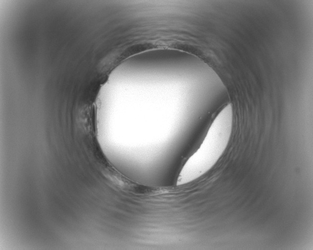 X0000065250237200603172212