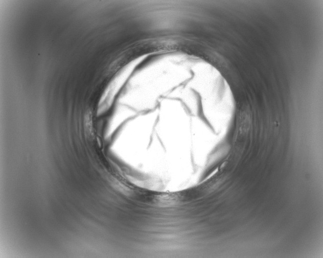 X0000065250238200603172212