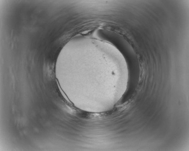 X0000065250239200603172212