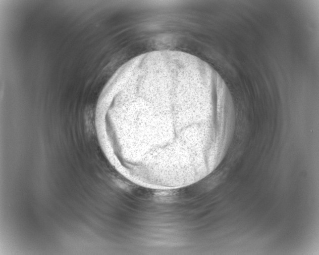 X0000065250240200603172212