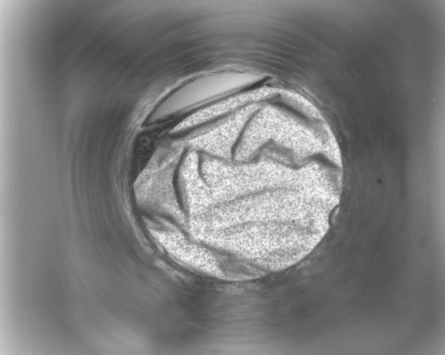 X0000065250241200603172211