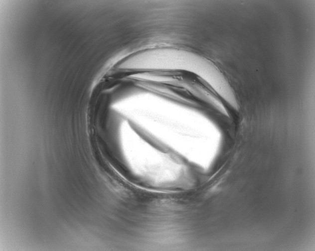 X0000065250244200603172211