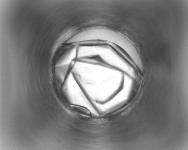 X0000065250245200603172211