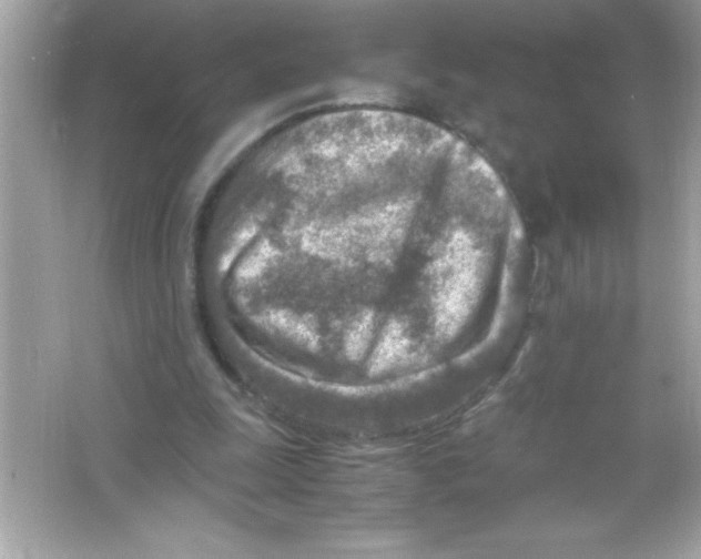 X0000065250247200603172211