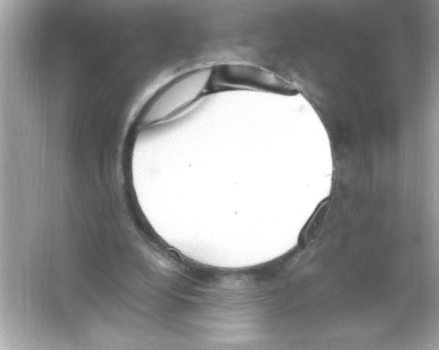 X0000065250248200603172211