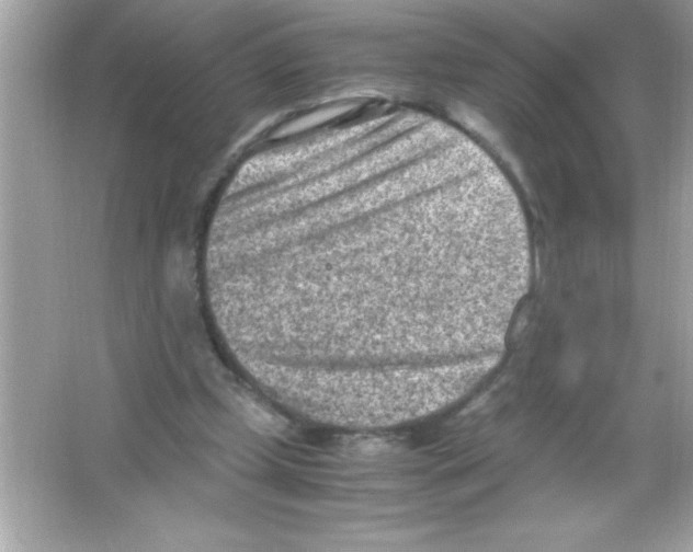 X0000065250249200603172212