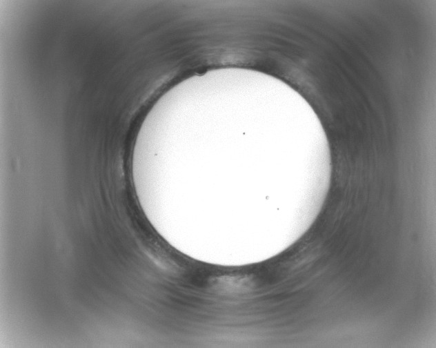 X0000065250251200603172212