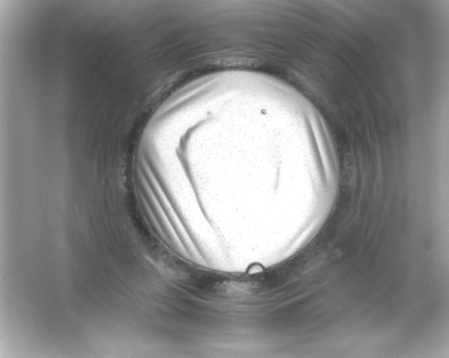 X0000065250255200603172212