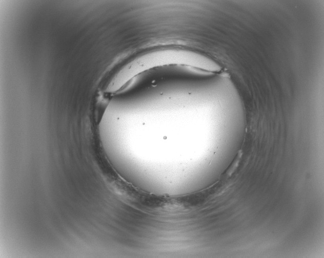 X0000065250256200603172212