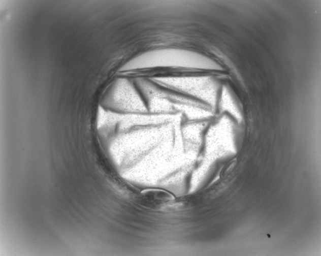 X0000065250257200603172212