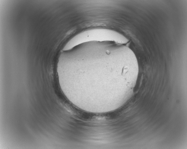 X0000065250260200603172212