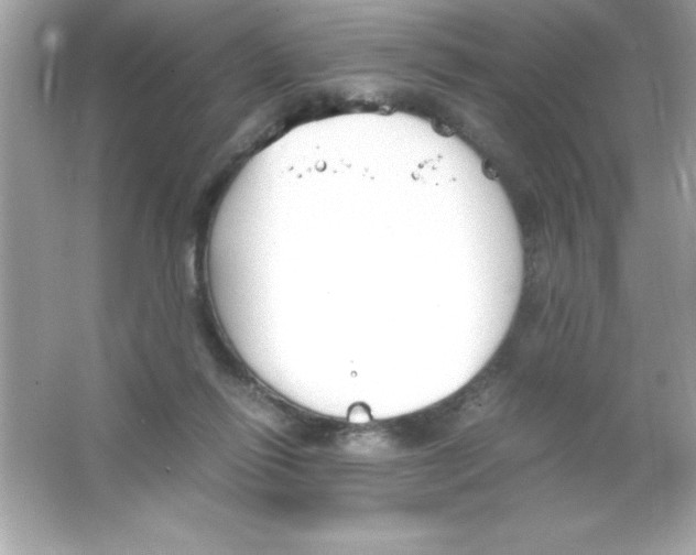 X0000065250262200603172212