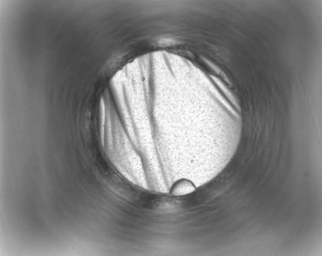 X0000065250263200603172212