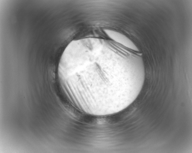 X0000065250264200603172212