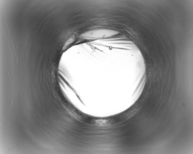 X0000065250265200603172212