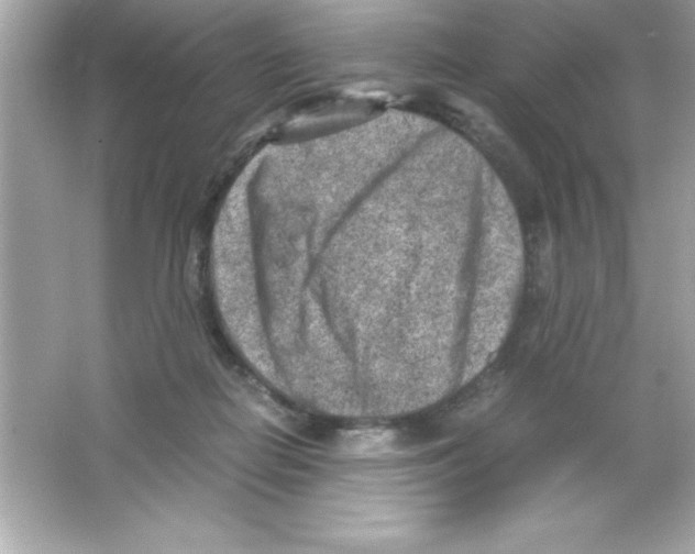 X0000065250266200603172212