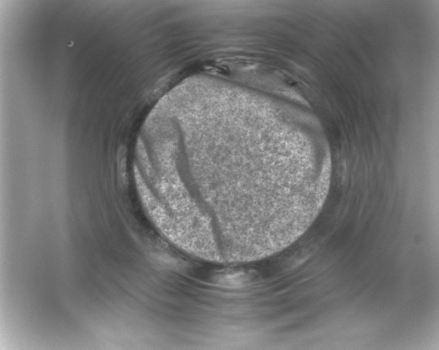 X0000065250267200603172212