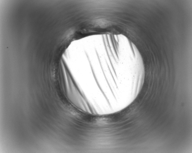 X0000065250268200603172212