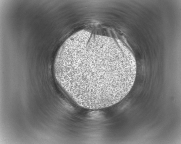 X0000065250269200603172212