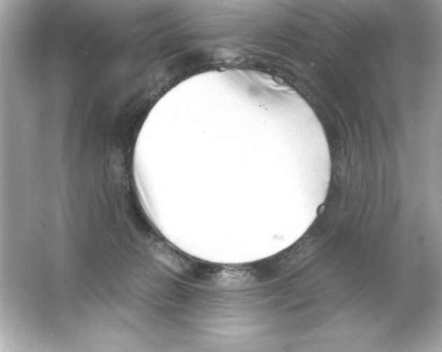 X0000065250270200603172212