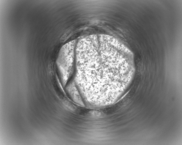 X0000065250272200603172212