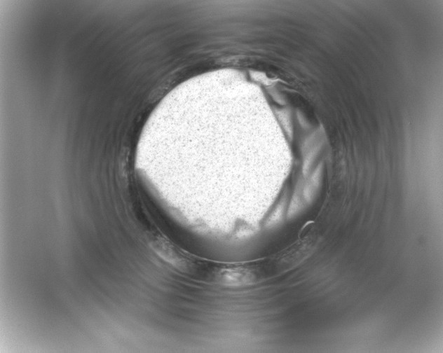 X0000065250275200603172212