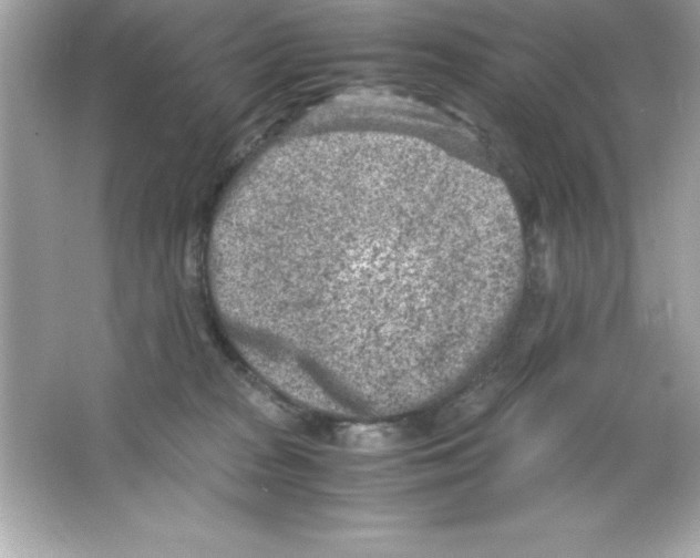 X0000065250277200603172212